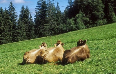 three sisters