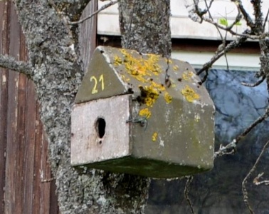 Room 21